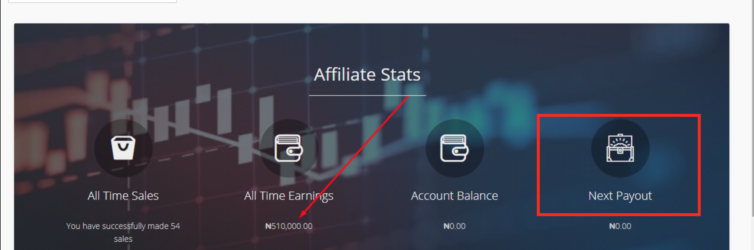 Expertnaire Review - How to start Affiliate marketing in Nigeria
